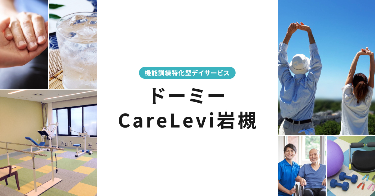 ドーミーCareLevi岩槻